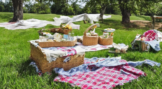 Esschert Designs picnictæpper: Den perfekte ledsager til udendørsaktiviteter