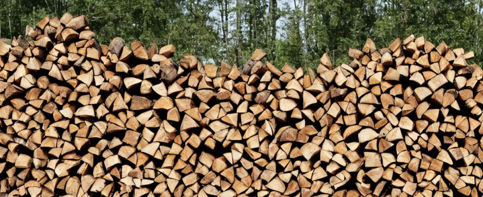 Fra træstamme til brændeovn: En guide til kløvning af træ