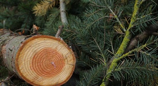 Süß & herzhaft: Die besten brunch-rezepte für jeden geschmack