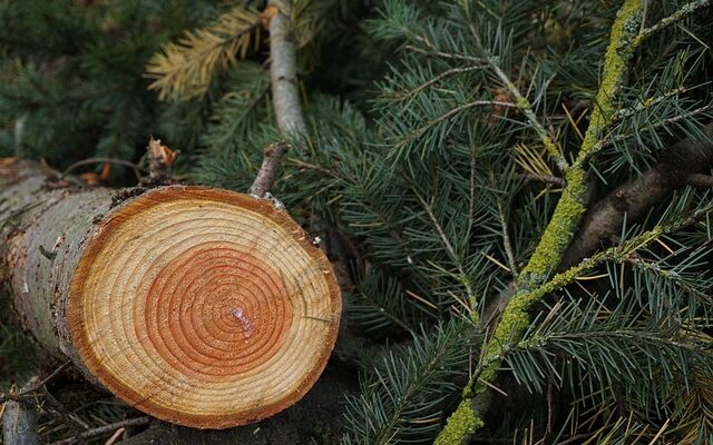Süß & herzhaft: Die besten brunch-rezepte für jeden geschmack