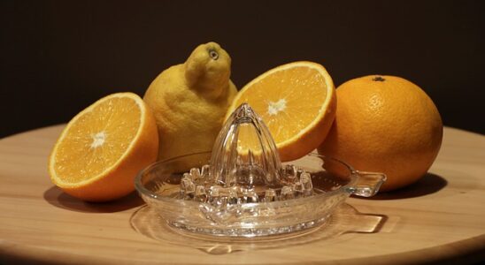 Smeg's Citruspressere: Den ultimative juiceoplevelse