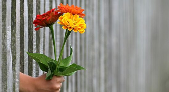 Sådan skaber du en overbevisende blomsterdekoration med kunstige blomster