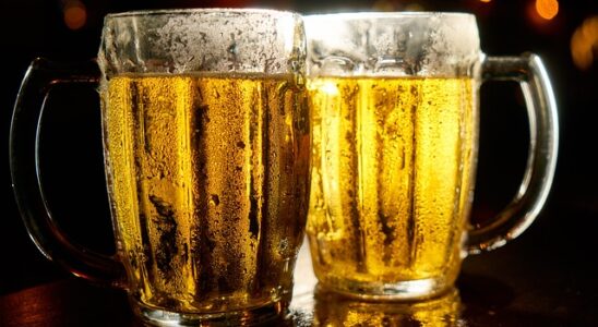 Spraymalt vs. traditionel malt: Hvilken er bedst for dig?