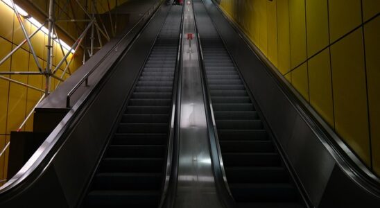 Sådan vælger du det perfekte løbebånd til hjemmetræning