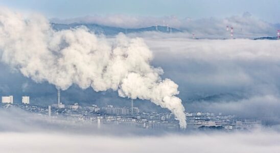 Palmeolie og klimaforandringer: en farlig cocktail