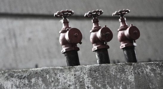 Sprinklervæske: Hvad du bør vide om beskyttelse mod is og sne