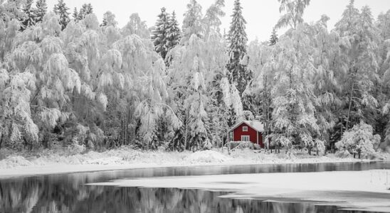 Infrarød sauna og vægttab: Kan det virkelig hjælpe dig med at tabe dig?