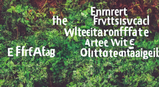 Miljøvenlige alternativer: Opdag de nyeste trends inden for bæredygtige startkabler